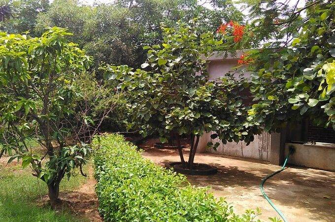 Farm House For Sale In Anand Gujarat