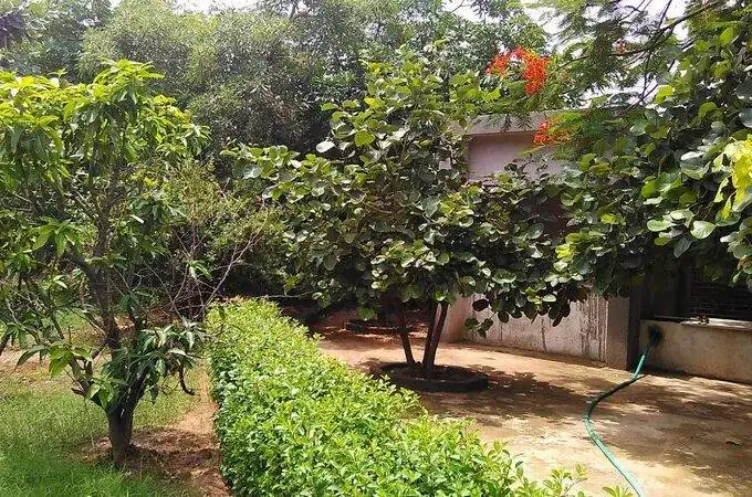 Farm House For sale in anand gujarat